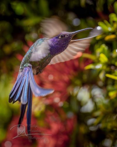 317091491_560110922789698_7318037438527181730_n