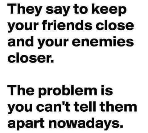 FB_IMG_1668311338946