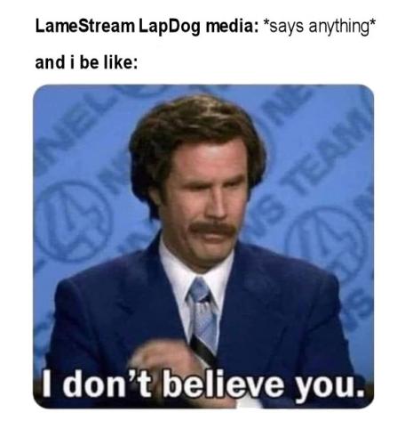 msm203