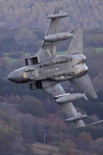 315853229_185749857361925_6766881189634753542_n