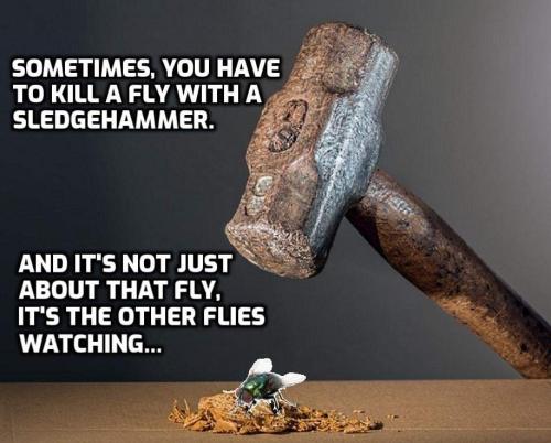FB_IMG_1668879546999