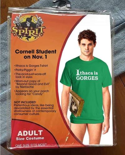 d34bd6c0-3f9a-4190-ac35-fd7c33c137d1