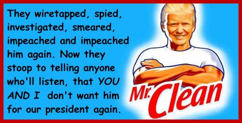 trump mr clean 3