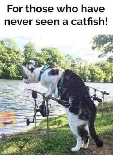 FB_IMG_1668546842210