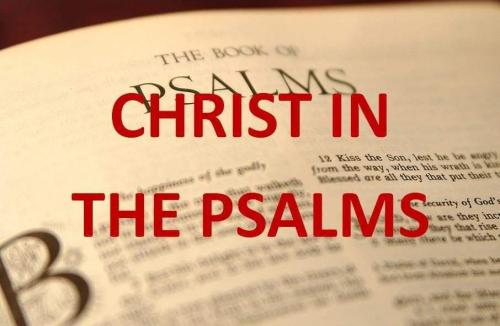 FB_IMG_1667394171296