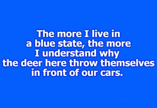 Suicidal blue state deer