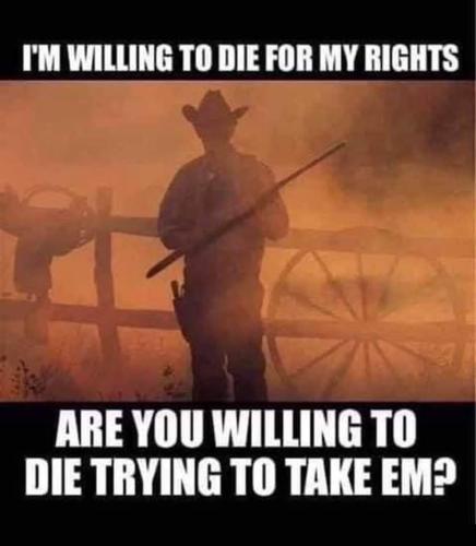 FB_IMG_1667753856565