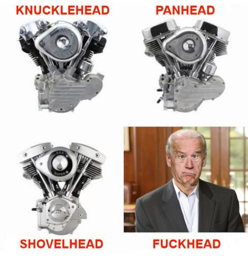 biden1113