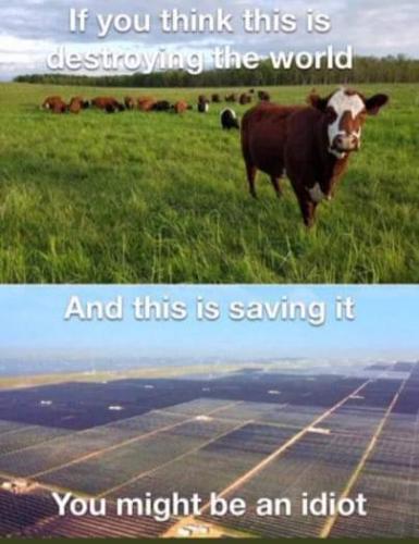 FB_IMG_1669412349327