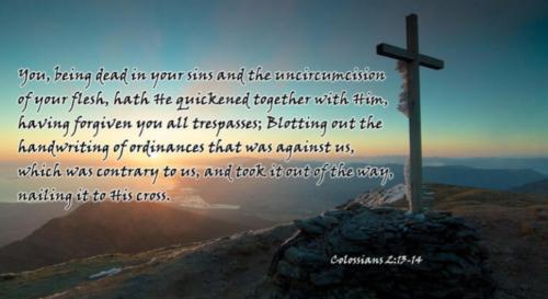 Screenshot_20221121_085938_MeWe