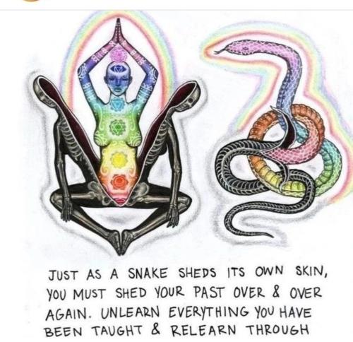 Screenshot_2022-11-09-20-25-15-08_1c337646f29875672b5a61192b9010f9