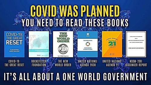 CovidWasPlannedBooks