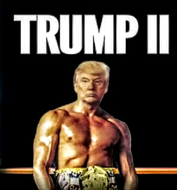 Screenshot_20221119-133801~3