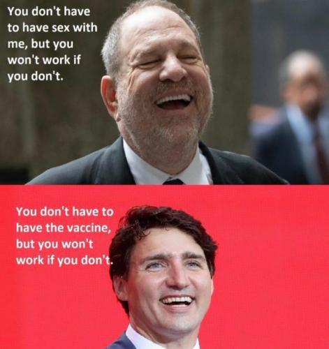 Screenshot_20221126-031539_Twitter