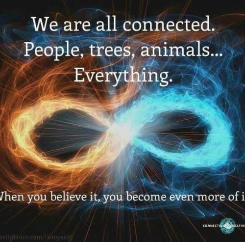 Screenshot_2022-11-11-00-19-33-21_1c337646f29875672b5a61192b9010f9