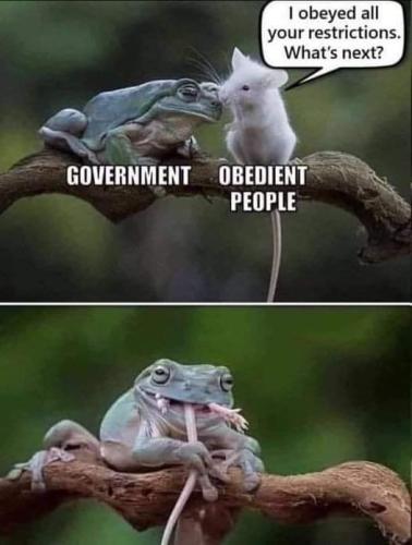 Gov 1