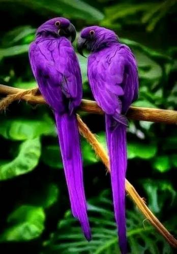 316809263_127564803472878_4415659596319866345_n