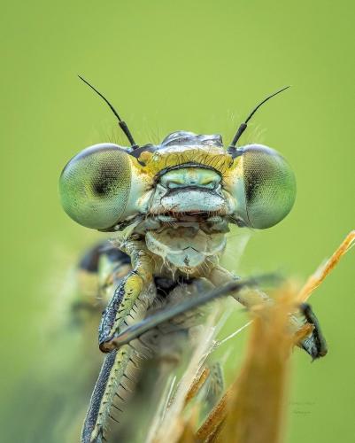 316269700_1080489889258353_118642460703622680_n