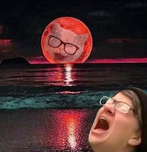 FB_IMG_1668045351281