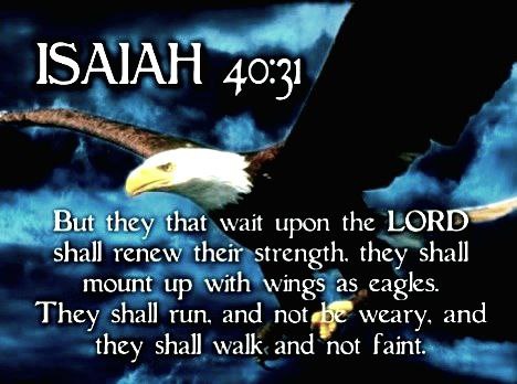 IMG_20221114_121148_627