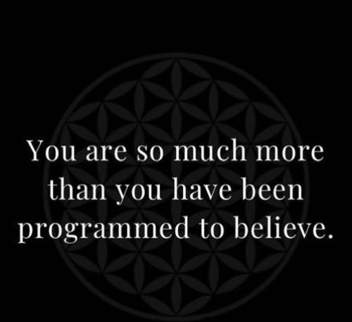 Screenshot_2022-11-23-18-32-14-26_1c337646f29875672b5a61192b9010f9