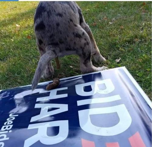 FB_IMG_1667583712234