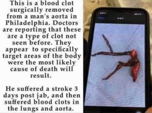 FB_IMG_1667852995946