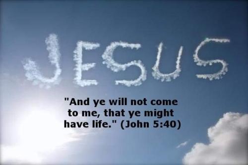 FB_IMG_1668868499658