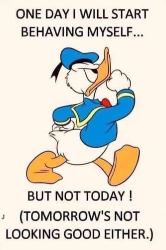 315247906_1317810965718825_2285469482785637140_n