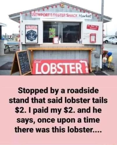 FB_IMG_1667845631634