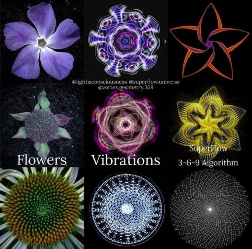 Screenshot_2022-11-11-00-52-13-33_1c337646f29875672b5a61192b9010f9