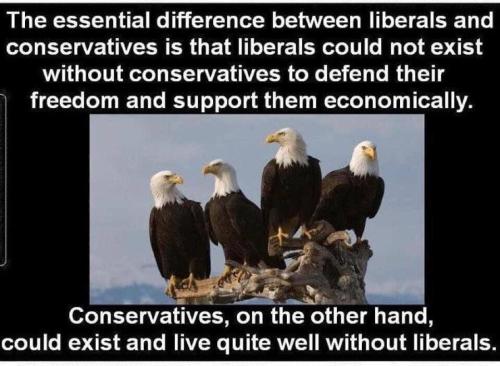 764639dc-9e64-470a-89d3-572b364ef4f5