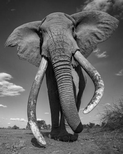 tumblr_ffeca5e9a65c5d2bb3822322d9e4e88c_c24f6364_540