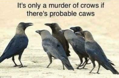 FB_IMG_1669436694762