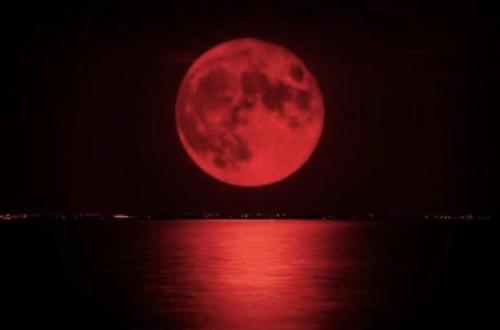 98B7DB13-3BEB-448A-9C14-48C89C9910B2