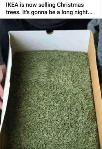 FB_IMG_1668223165747