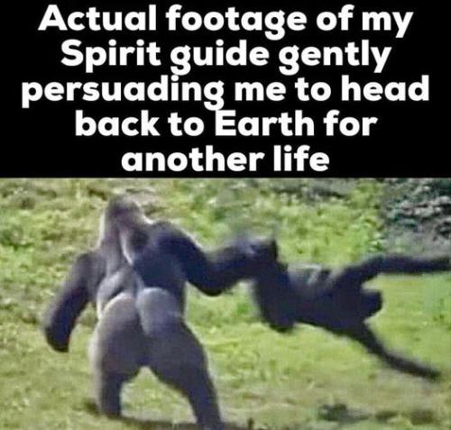 313913927_199378235897768_8002151783990583648_n