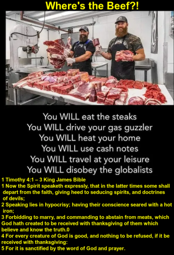 xephula_6cd0f2b219ef340be38db5d1f5b35b8e