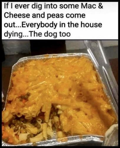 tumblr_4be3c0e5285274b2285b0361dd29614c_78af4153_540