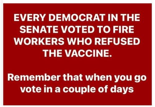 FB_IMG_1667746095332