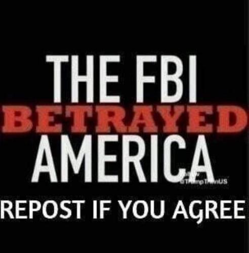 FB_IMG_1668522940862