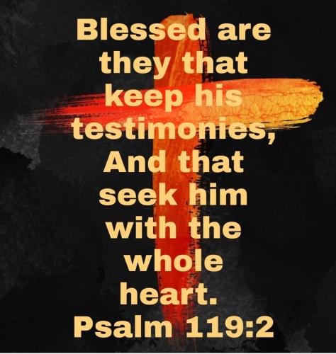 Screenshot_20221122-063244_Bible