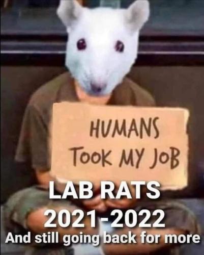 FB_IMG_1669660285189