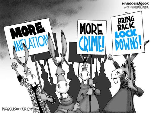 mc_bluevote_web-800x0