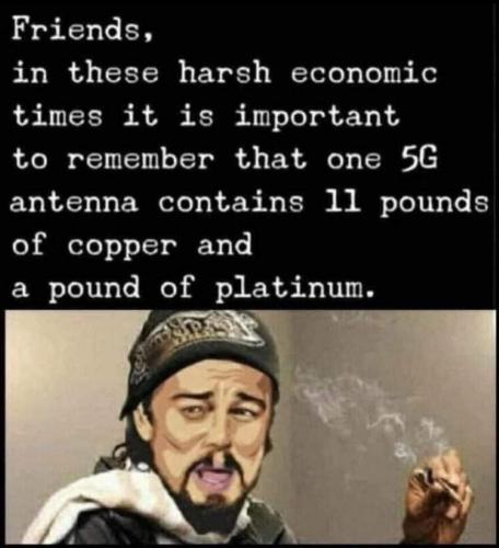 FB_IMG_1667672864275