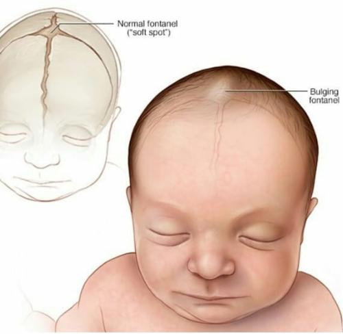 Screenshot_2022-11-26-08-55-13-20_1c337646f29875672b5a61192b9010f9