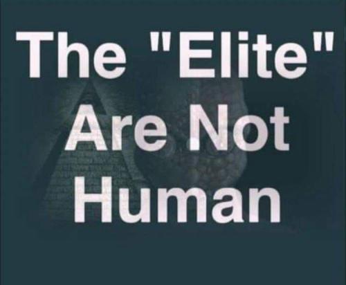 Elite 1