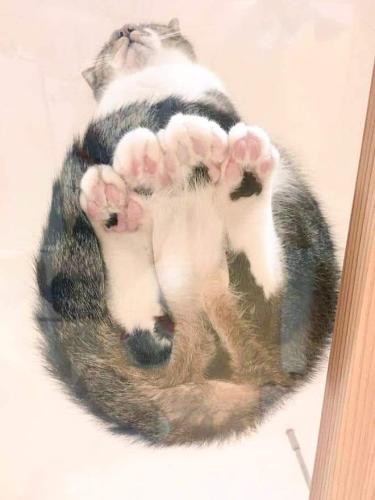 FB_IMG_1648185767437