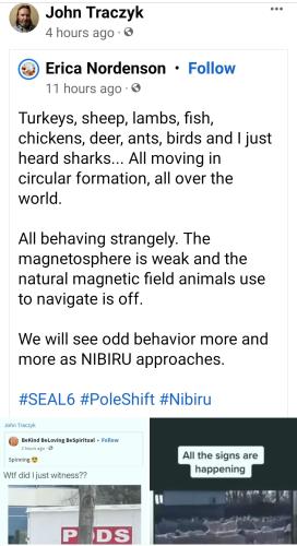 12:36:08 GMT-0500 (EST)