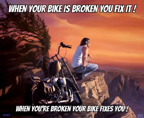 FB_IMG_1667516191056